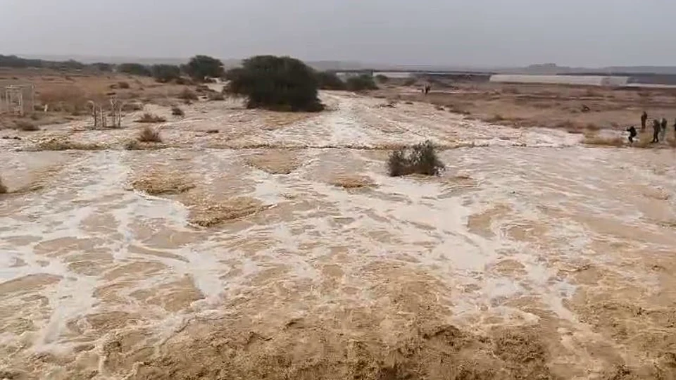 גשמים, הצפות ופקקי ענק: אילת נצורה, שיטפונות בערבה 