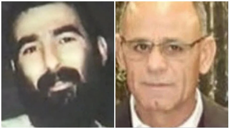 חשד בלבנון: "ישראל מחזיקה בקצין שבידיו מידע על רון ארד"