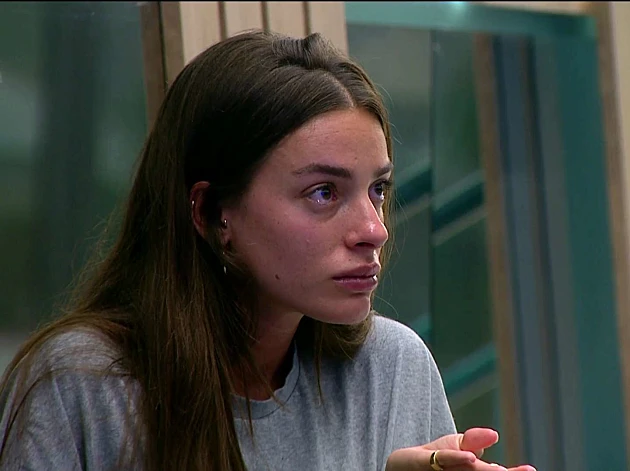 "גם אני יודעת לדבר ככה": העזרה הלא צפויה של דיאן שוורץ למלחמה