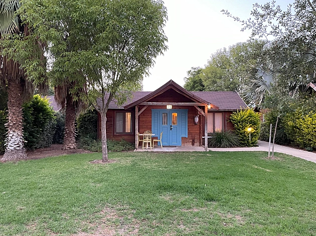 שון מחפש מלון | הוילג': הלוקיישן המושלם לטיול עם הכלב בצפון