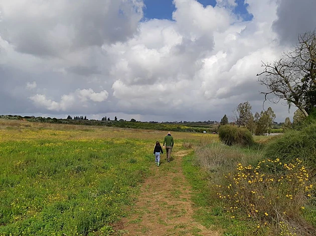 קרוב לבית - המלצות לטיול ובילוי ברחובות ונס ציונה