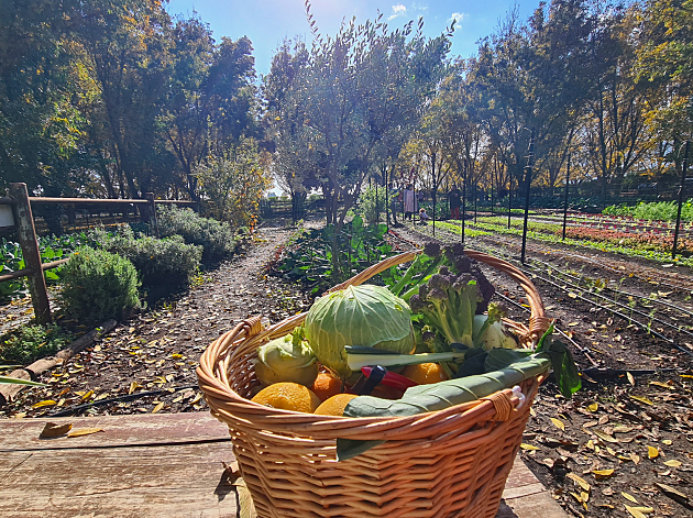 יאללה ביי: 5 המקומות הכי "וואו" לשישי חופשי אחרון לשנת 2022
