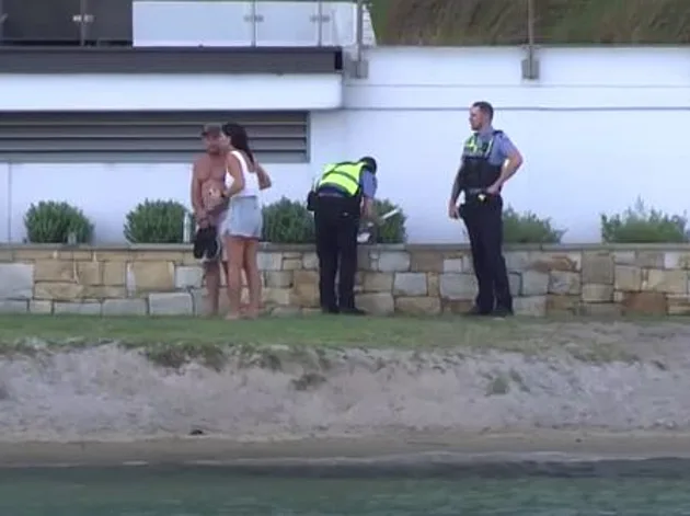 זעזוע באוסטרליה: קפצה לשחות עם דולפינים - והותקפה ע"י כריש