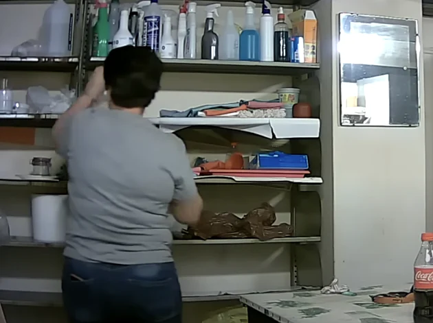 עובדת ניקיון פגעה בחברתה לעבודה במשך חודשים עד שהאמת התגלתה