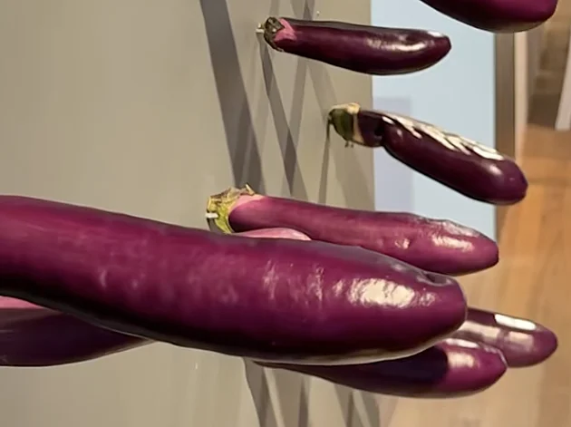 בושה: המבקרים במוזיאון לאומנות גונבים חצילים מהיצירה