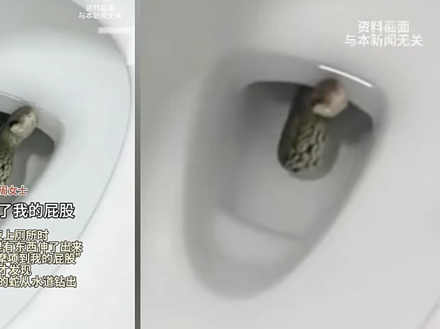 התיישבה על האסלה ונחרדה לגלות נחש מבצבץ