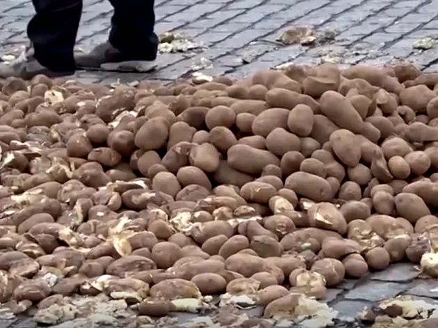 מחאת החקלאים בבלגיה: מאות תפוחי אדמה פוזרו ברחובות