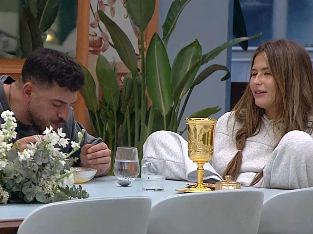 טיימליין "האח הגדול", היום ה-24: השיח על האווירה הזוגית בבית