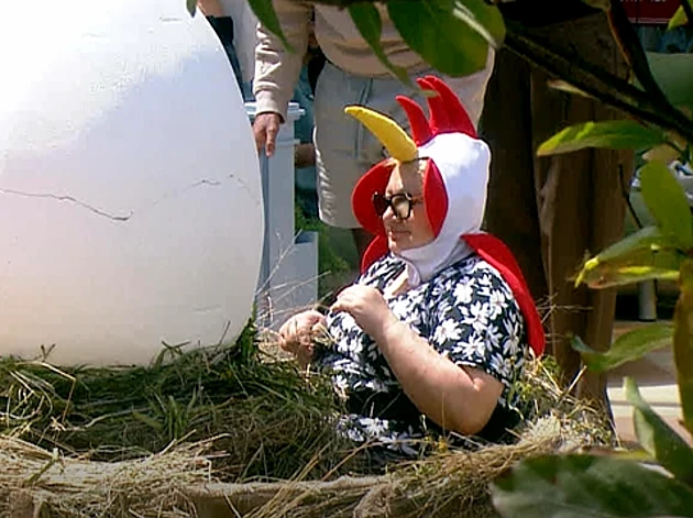 לא ציפור ולא מטוס: מי האורח המפתיע שנכנס לבית?