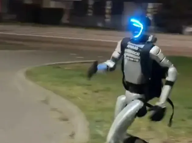 חיפה, תכירי: מה עומד מאחורי הרובוטים שרודפים אחרי חזירי בר?