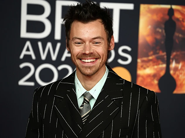 אחרי 8 חודשי זוגיות - הארי סטיילס התארס: "הוא מאוהב לחלוטין"