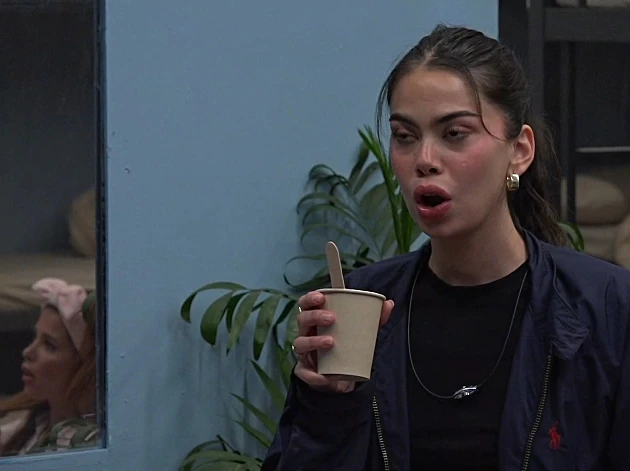 טיימליין "האח הגדול", היום ה-48: הדיירים החדשים משתלטים 