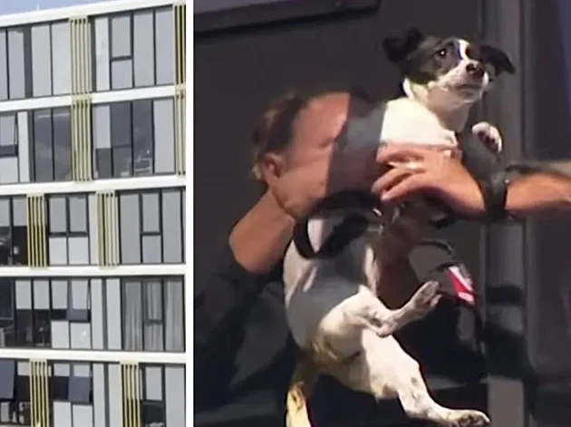 נעלמה מהדירה - ונמצאה תלויה על חלון בגובה 13 קומות