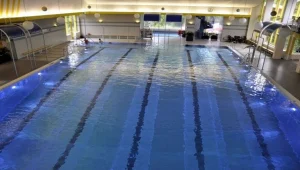 ניוזפיד - תקיפה בבריכה בגרמניה: "צעקו אללה אכבר וירקו על נשים וילדים"