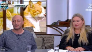 סירוס חתולים