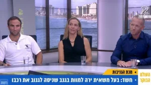 מכת הגניבות