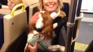 צפו בתיעוד המרגש: כלב נפל למסילה - וחולץ שהוא בריא ושלם