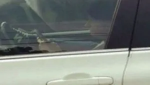 רץ ברשת - מוגזם: נתפסה נוהגת בכביש המהיר עם הידיים על הטלפון והרגליים על ההגה
