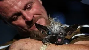 רץ ברשת - העיקר היופי הפנימי - תחרות הכלב המכוער בעולם