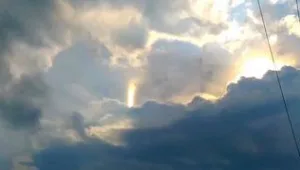 רץ ברשת - קרן שמש מאוחרת