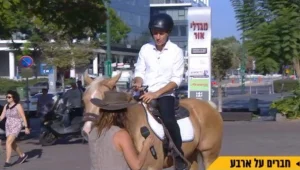 יום הסוס הבינלאומי