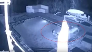 ג'נטלמן אמיתי? איך הגיב גבר כשתנין הפתיע אותו ואת בת זוגו בבריכה