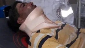 דיווח: הותקפו במוטות בזמן המסיק