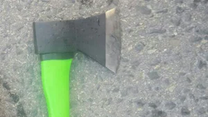 "בן 17 תכנן לרצוח נערה עם גרזן"