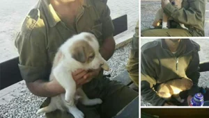 מי ידאג לכלבים הנטושים בבסיסים?