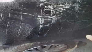 המורה העירה - התלמידות נקמו