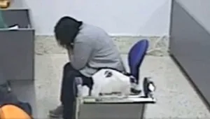 שהארוס שלה השתמש בה כדי להעביר הרואין