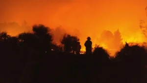 גל שריפות ברחבי הארץ