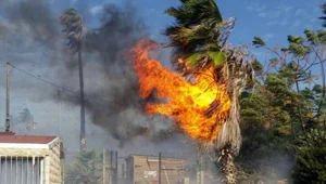 מאות תלמידים פונו מבית ספר בעתלית בעקבות שריפה