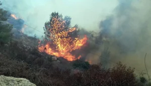 אש בהרי י-ם