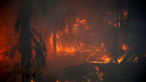 מה נשאר מהצהרות הפוליטיקאים?