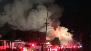 24 גופות אותרו