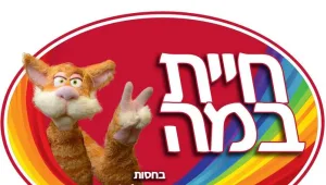 תקנון פעילות סקיטלס