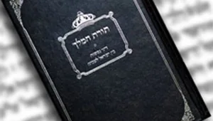 הליכים משפטיים נגד הרב אליצור בגין הסתה