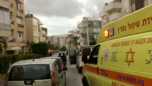 דיירים פונו