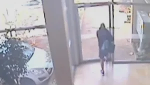 התרברבו בטלפון בשלל שגנבו ונתפסו