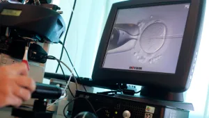 תינוק אחד, DNA משלושה הורים