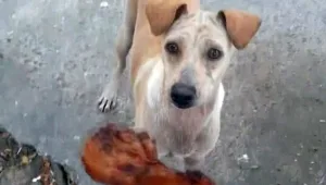 תגובתה הפכה לויראלית