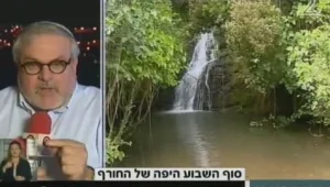 תפוסה כמעט מלאה