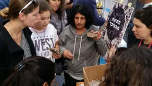 מסתערים על ההריסות