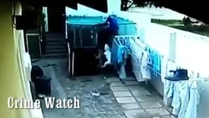 הפריצה שהסתיימה במכנסיים קרועים ונשיכות