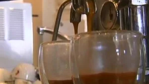 כל השאלות והתשובות, ממה צריך להיזהר? והאם כדאי להפסיק לשתות?