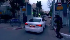 השרים יקבעו: רק פרשות אלימות ומין ייבדקו?
