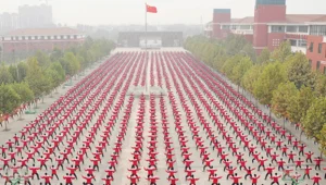 מספר הלידות בעלייה משנת 2000