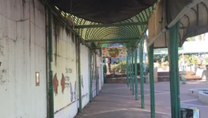 "למה העירייה מתנכלת לנו במקום לסייע?"