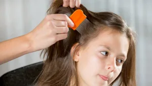 כיצד להיפטר מכינים אחת ולתמיד?